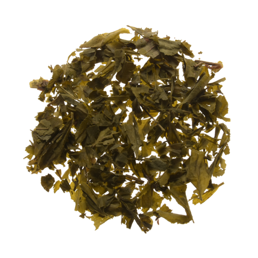 Sencha - Image 4